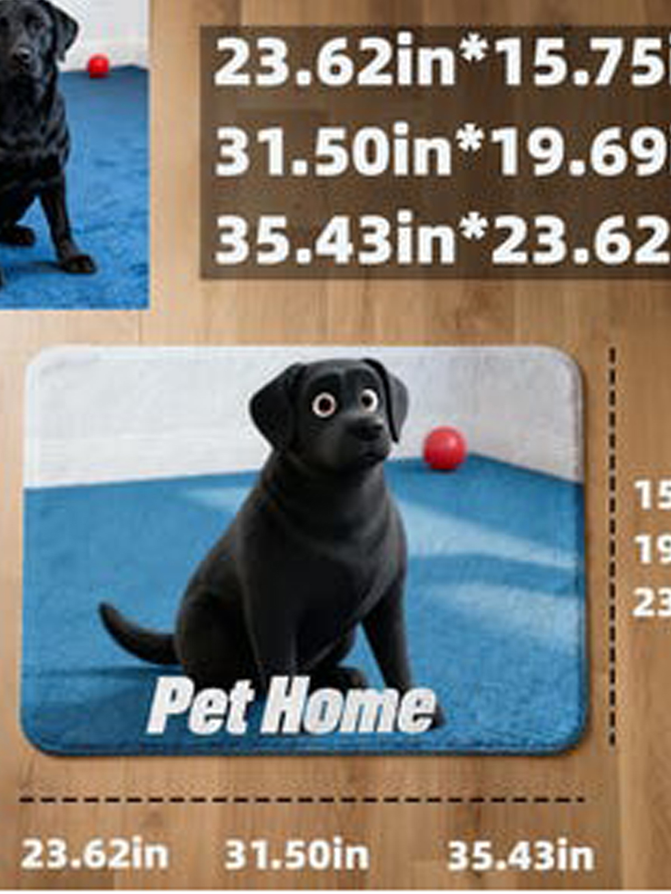 Personalized Pixar-Style Pet Mat with 3D Cartoon Portrait